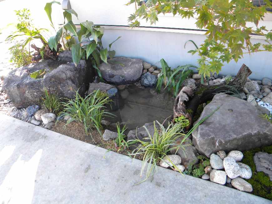 メダカを飼うため小さな池のあるビオトープの庭 庭和み